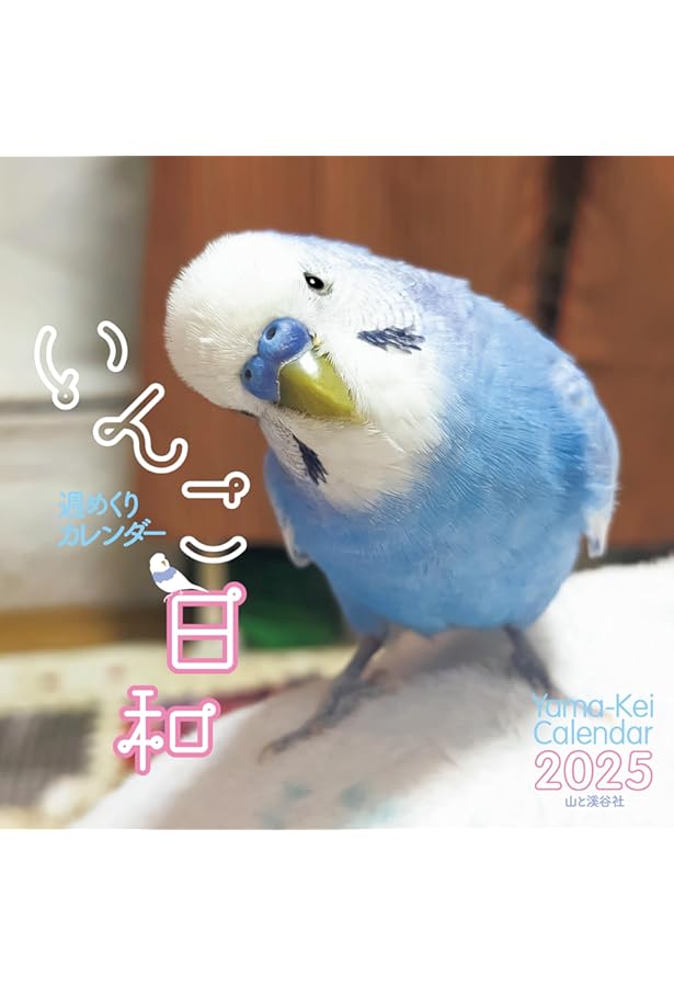 Amazon.co.jp: 鳥ぐらしVOL.6 ([バラエティ]) : 東京書店: 本